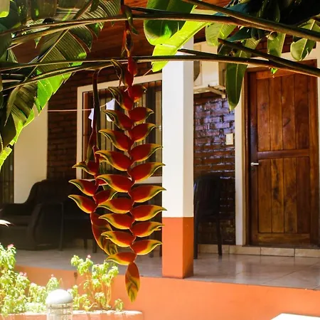 Hospedaje Jose Gorgues-2